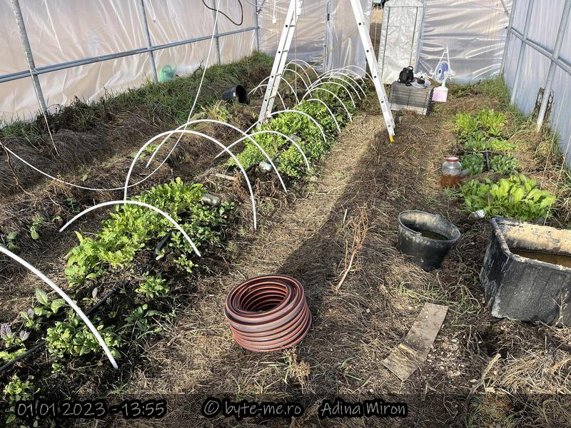 Solarul Mare in luna Ianuarie 2023