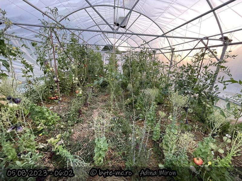 Cultivarea cat mai multor plante, intr-un spatiu cat mai restrans