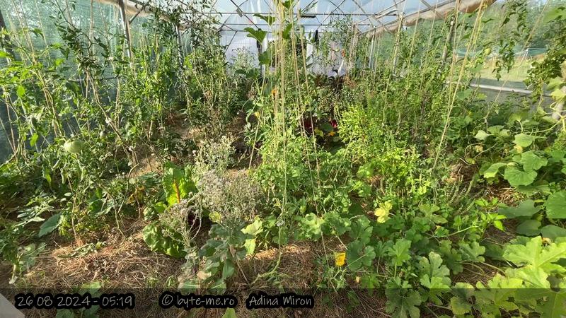 Solarul mare – vedere din Nord