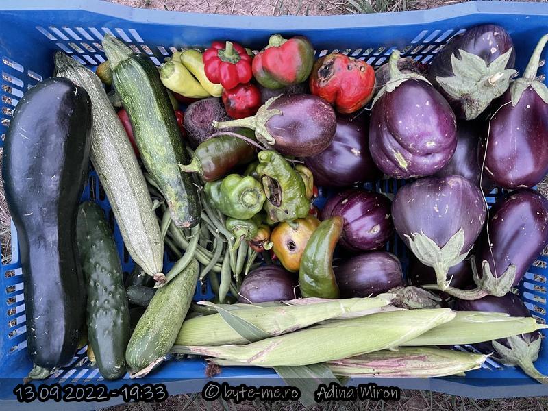 Recolta din Septembrie 2022